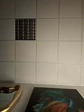 Snapshot of hardmecl chatting on 02.12.25 hardmecl online show from 02.12.25