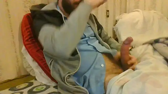 tozebrito hd online show from 12.05.24