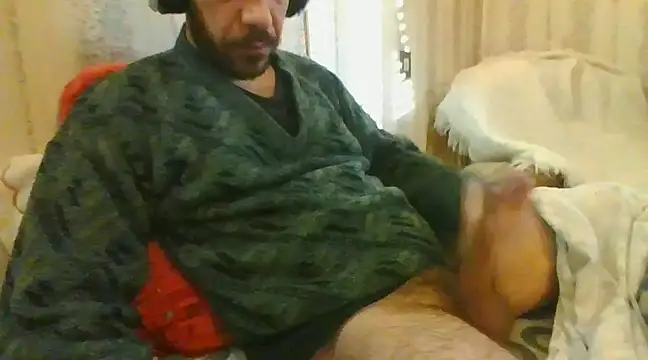 tozebrito hd online show from 02.06.25