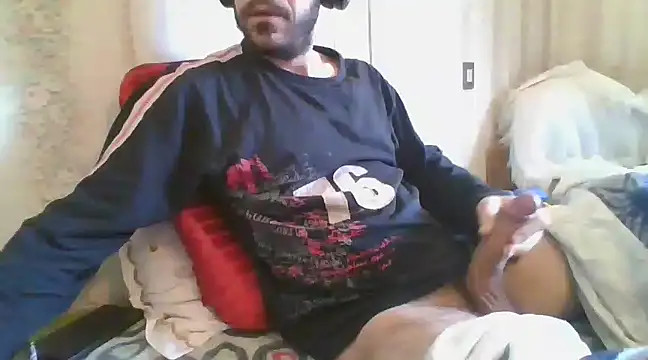 tozebrito hd online show from 02.08.25