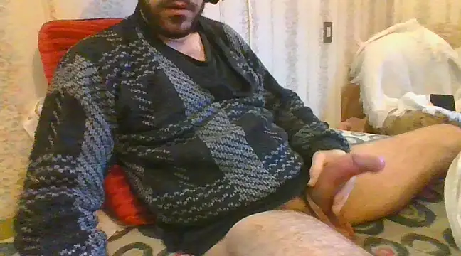 tozebrito hd online show from 02.08.25