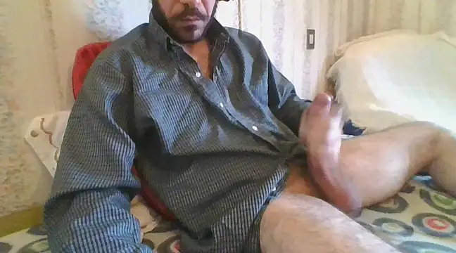 tozebrito hd online show from 02.09.25