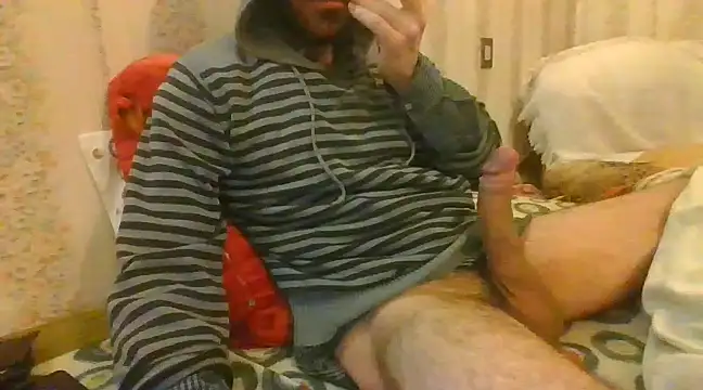 tozebrito hd online show from 02.14.25