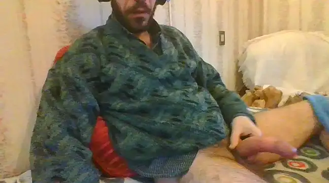 tozebrito hd online show from 02.18.25