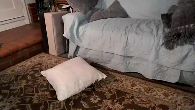 Dark Asteroid online show from 02.20.26