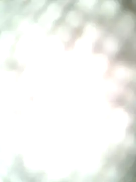 molozeb online show from 10.12.25