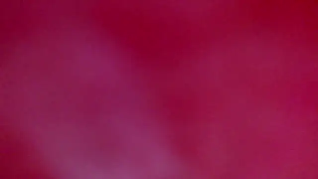 Snapshot of ray_and_666 chatting on 01.18.26 ray and 666 online show from 01.18.26