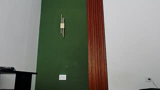 jean sneider online show from 03.11.26