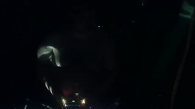 Snapshot of perversalus chatting on 03.12.26 perversalus online show from 03.12.26