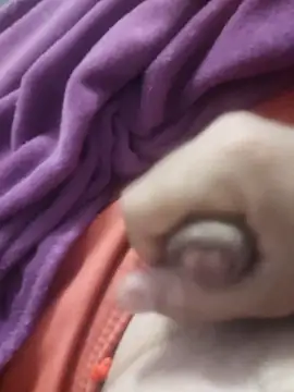 dredre1069 online show from 02.02.26