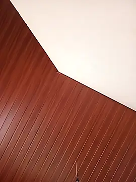 Snapshot of beegbo chatting on 12.23.25 beegbo online show from 12.23.25