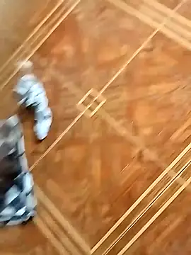 socrathes online show from 02.26.26