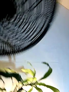 Snapshot of _Miguel100 chatting on 11.06.25 Miguel100 online show from 11.06.25