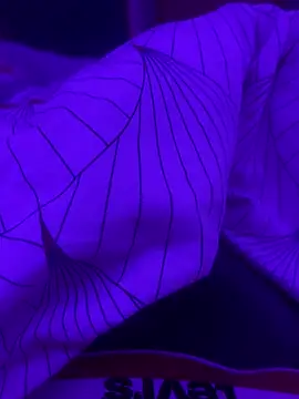 Maxxxooouuu online show from 03.01.26