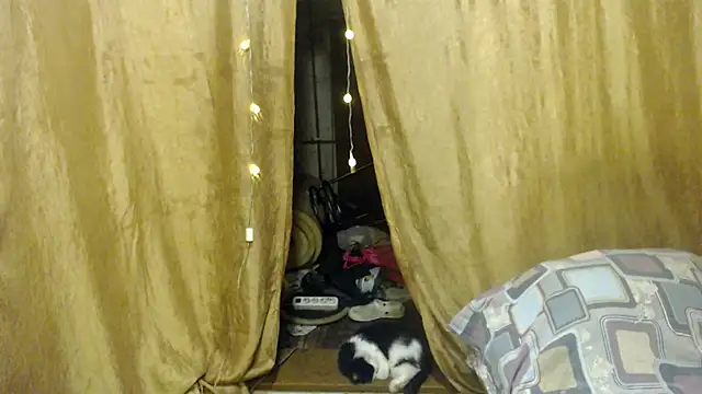  Estelitta 5 online show from 01.17.25