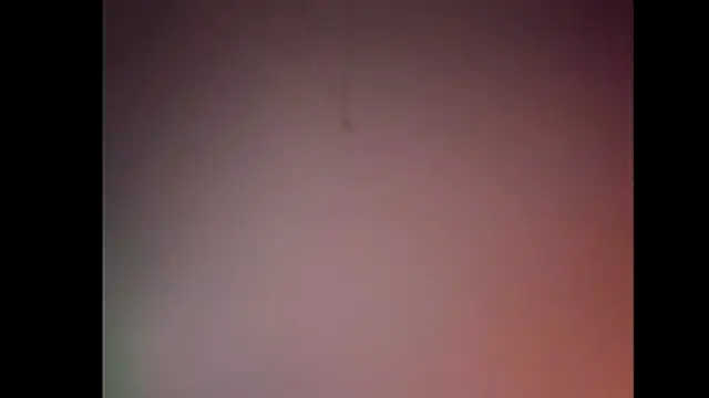 Snapshot of Pegg-fist-me chatting on 11.28.25 Pegg-fist-me online show from 11.28.25