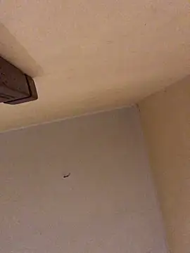 ClatteryPrexy online show from 03.19.26