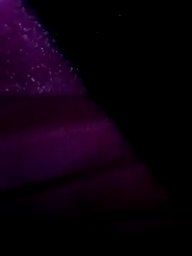 Snapshot of egyptman220 chatting on 03.12.26 egyptman220 online show from 03.12.26