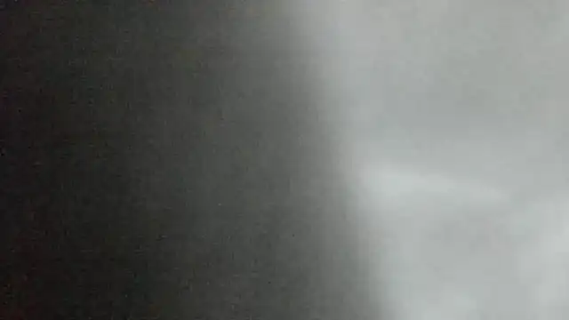 canela wet online show from 02.02.25