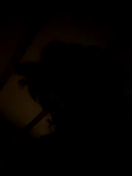 Snapshot of habbockwiesau chatting on 11.22.25 habbockwiesau online show from 11.22.25