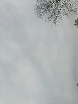 Nkumar173 online show from 02.13.25