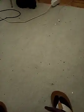 Gigolo profissional online show from 01.10.26