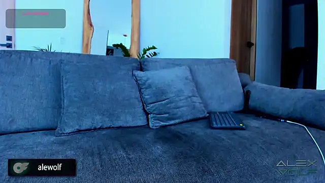 Snapshot of alex_wolf_ chatting on 11.28.25 alex wolf online show from 11.28.25