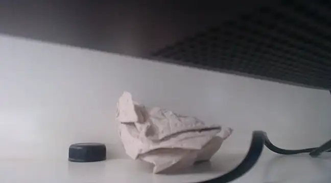 Snapshot of Siren_Indira chatting on 03.05.25 Siren Indira online show from 03.05.25