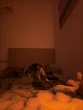 Snapshot of Sashabunny chatting on 02.12.26 Sashabunny online show from 02.12.26