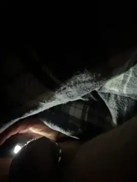 Snapshot of Shyboy817 chatting on 03.11.26 Shyboy817 online show from 03.11.26