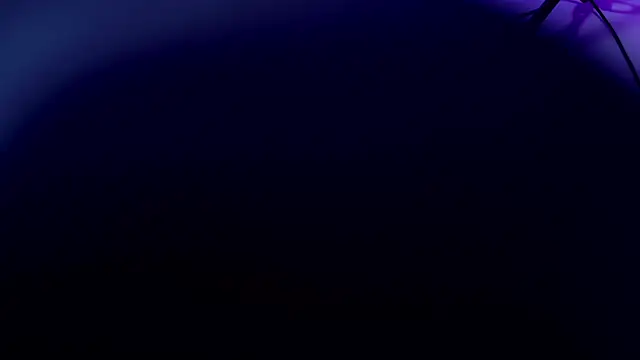 violett lo online show from 07.16.26