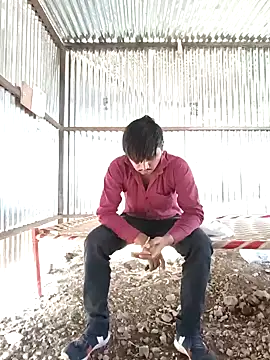 Kartik bbc indian online show from 12.13.24