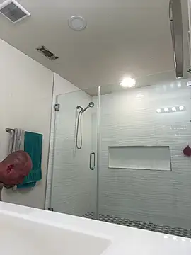 Snapshot of El_Gizmo chatting on 02.20.25 El Gizmo online show from 02.20.25