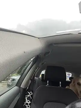 notlikeothergirlsEW12 online show from 01.12.25