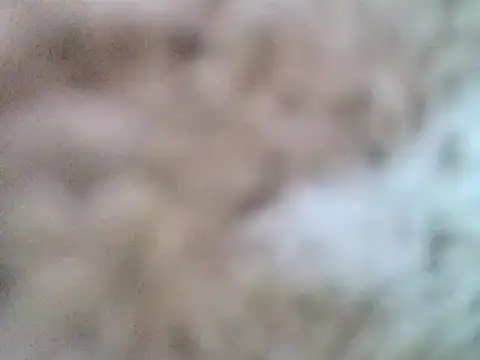 Snapshot of DaddyQuimHot chatting on 02.09.25 DaddyQuimHot online show from 02.09.25