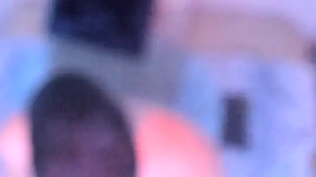 stillwild online show from 12.14.25