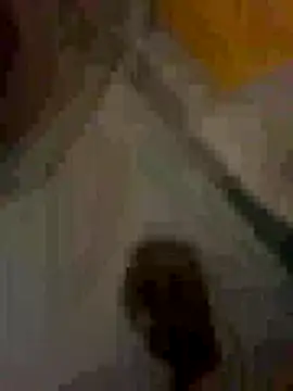 MonKeeees online show from 09.09.25