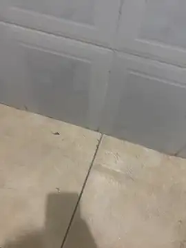 Snapshot of rafahpirusudo chatting on 03.18.26 rafahpirusudo online show from 03.18.26