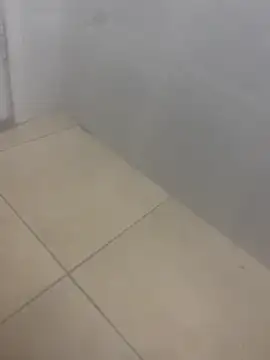 Snapshot of rafahpirusudo chatting on 03.19.26 rafahpirusudo online show from 03.19.26