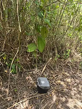 thomas and brush online show from 02.06.26