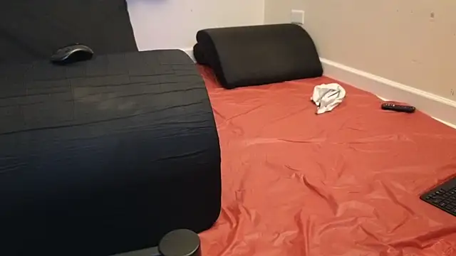 pantslesstraveler plt online show from 02.03.25