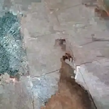 Snapshot of jockey2051992 chatting on 04.13.26 jockey2051992 online show from 04.13.26