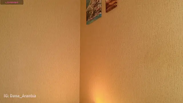 DanArant online show from 10.11.25