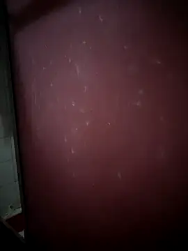 Snapshot of kamasutra20 chatting on 12.21.25 kamasutra20 online show from 12.21.25