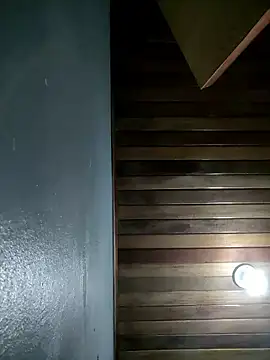 Snapshot of kamasutra20 chatting on 01.13.26 kamasutra20 online show from 01.13.26