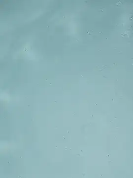 Snapshot of BigAssKi chatting on 10.04.25 BigAssKi online show from 10.04.25