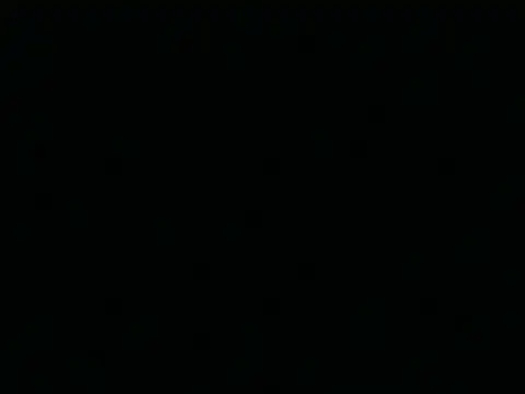 Tigerhill2023 online show from 04.25.26