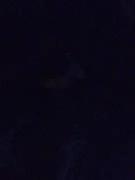 MrDickUdown24 7 online show from 02.23.25