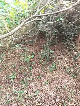 Snapshot of HathodaTyagi123 chatting on 12.08.24 HathodaTyagi123 online show from 12.08.24