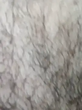 Snapshot of HathodaTyagi123 chatting on 03.08.26 HathodaTyagi123 online show from 03.08.26